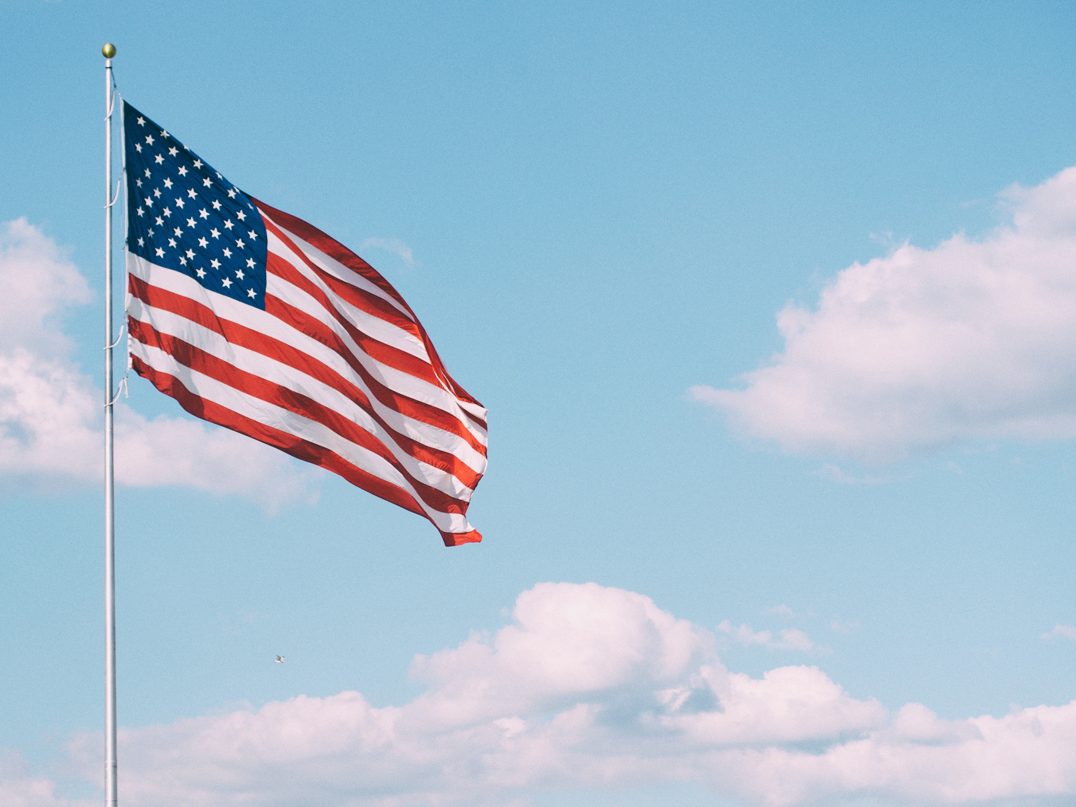 Made in the USA