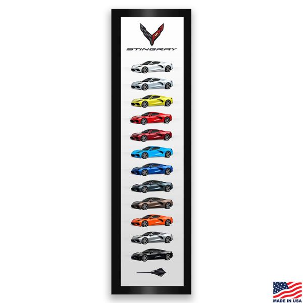 C8 Corvette Colors Printed Canvas